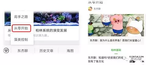 造浪，让你鱼缸里的珊瑚摇摆起来