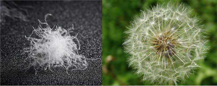 羽绒服为什么不能机洗？正确洗涤方法看这里