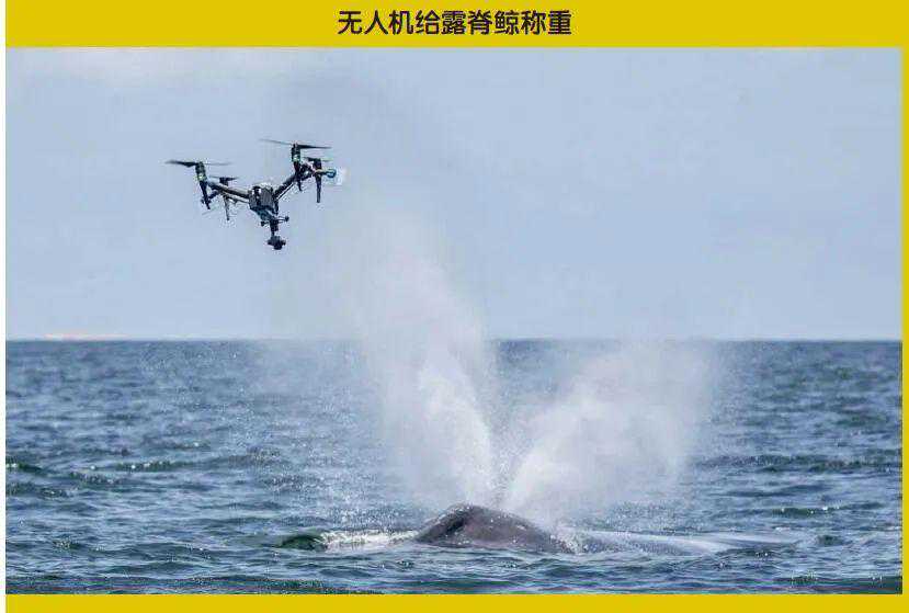 那些绞尽脑汁的称重方法