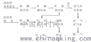 水解酸化-UASB处理高浓度酿酒废水