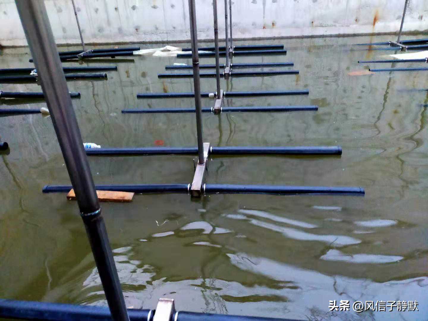 管式曝气器和盘式曝气器的对比