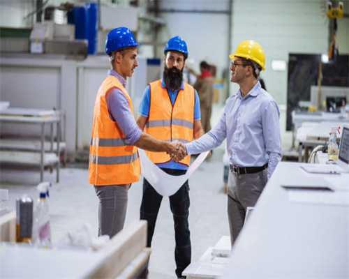 FluorPen110手持式叶绿素荧光仪