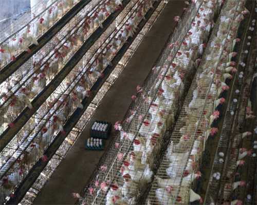 从定性到定量——物理量的概念与测量