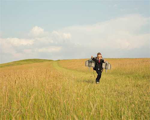 “激光木材”可实现高效率固态激光照明